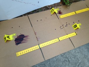 clue at the zoo crime scene