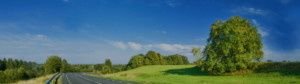 bg-image-desktop-road-greenery