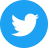 twitter logo color